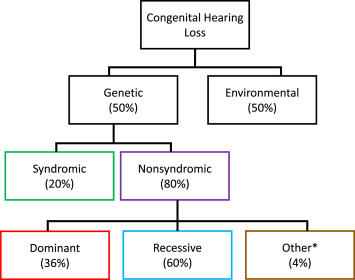 Chart of the different types of hearing loss. This chart specifies what percentage of each type affects people including genetic hearing loss