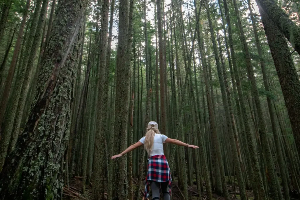 A woman seen from behind walks along a fallen log in a tall forest, arms stretched out to keep her balance